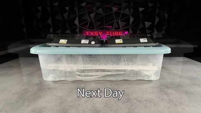 Реставрация винтажной клавиатуры смотреть онлайн