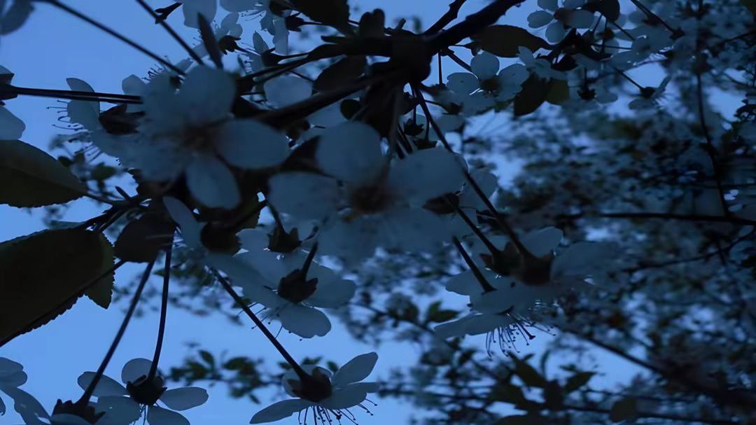 BEDWARS STREAM! | MineBlaze смотреть онлайн