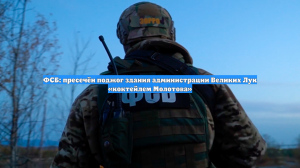 ФСБ: пресечён поджог здания администрации Великих Лук «коктейлем Молотова»