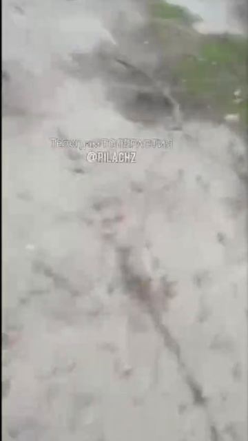 это вонючий хряк а не ...да!И автобус несколько задержался смотреть онлайн