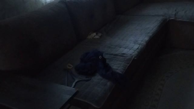 Ты толстая ,у тебя нет силы воли 😡😡😡 смотреть онлайн