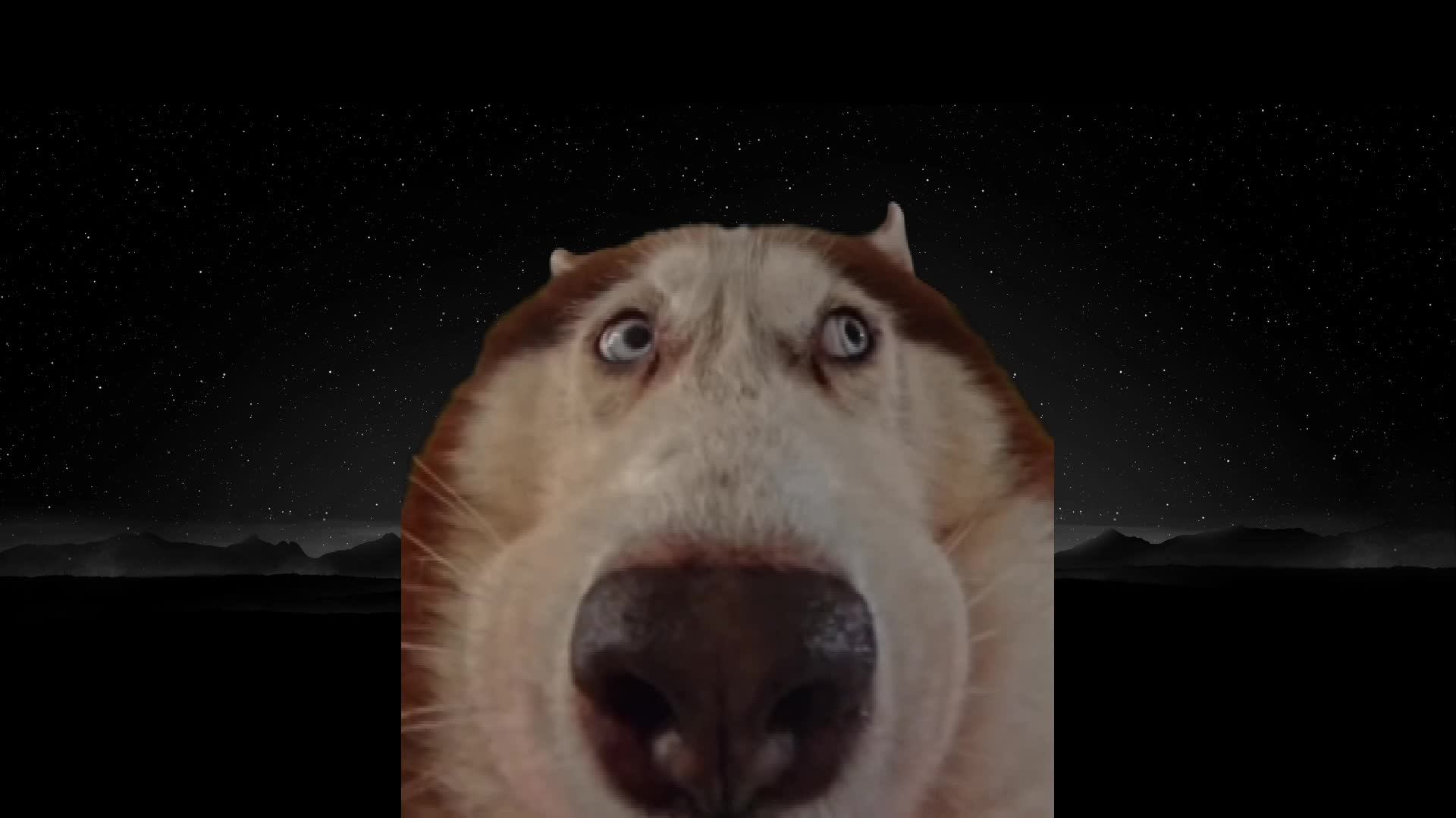 тестовая трансляция