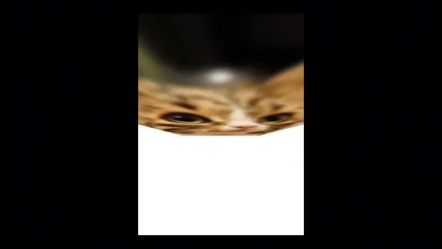 немного смешанных видео
:) смотреть онлайн