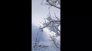 СНЕГ КРУЖИТСЯ. ДАЧА.