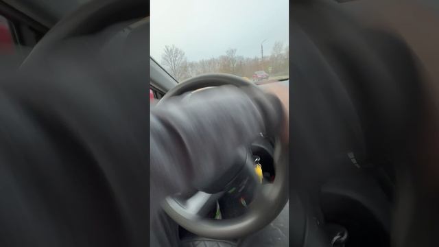 Rio смотреть онлайн