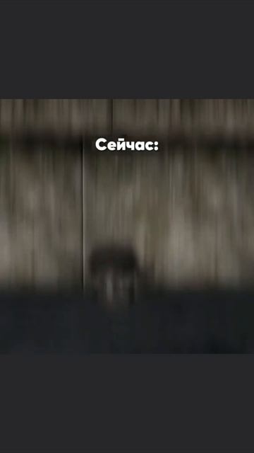 Качай матрёшку рп вводи промокод YfQnoi при регистрации на любом сервере и получи очки опыта машину