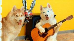 УБОЙНЫЙ ХАСЯЧИЙ КОНЦЕРТ ДЛЯ NOSEY АНИМАТРОНИКА!