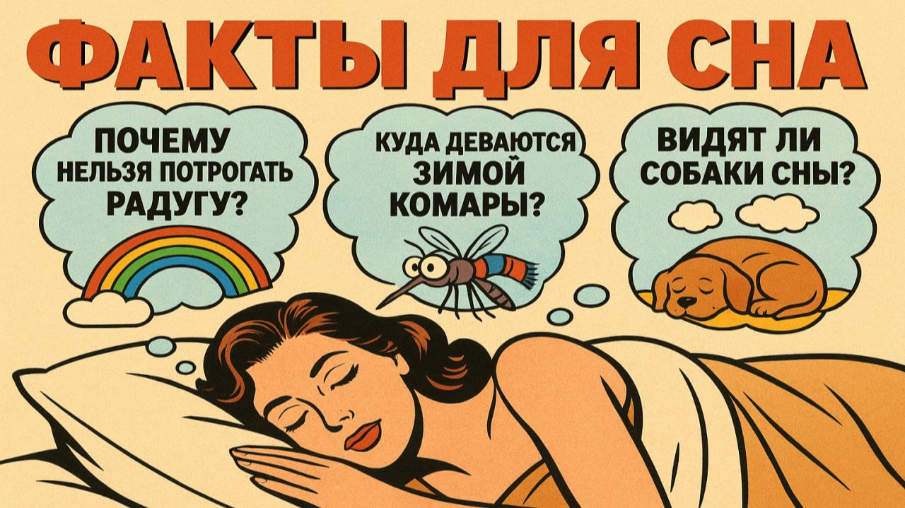 Факты про животных для сна: Удивительные и интересные истории, чтобы быстро уснуть смотреть онлайн