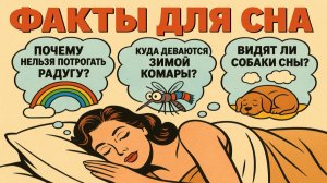 Факты про животных для сна: Удивительные и интересные истории, чтобы быстро уснуть