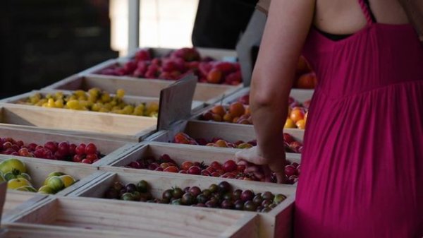 Фруктовая палитра SDR