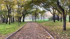 ОДЕССА 21 НОЯБРЯ 2025. УНИЧТОЖЕНИЕ 57 ФАЛ!ПОТЕРПИМ КОРРУПЦИОНЕРОВ БЕЗ ПОТЕРИ ГОСУДАРСТВА