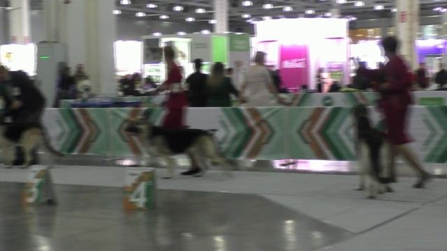 Сравнение открытого класса смотреть онлайн