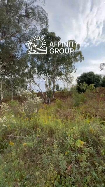 Как насчет собственного дома в тени огромного эвкалипта?🤌❤️🔥