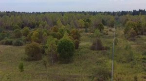 Проект "Панюково Лесное"