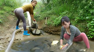 Как ловить рыбу в дикой природе. Техника ловли  откачиванием воды из пруда. Жизнь во Вьетнаме