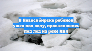 В Новосибирске ребенок ушел под воду, провалившись под лед на реке Иня