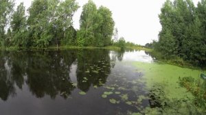 Блесна, Альфа вертушка.Просто Жесть.Должна быть у каждого спиннингиста.