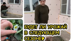 НЕУЖЕЛИ Я ОСТАНУСЬ БЕЗ .....?/Я ПОСЕТИЛА СТОМАТОЛОГА/ЗАЦВЕЛА КЛУБНИКА.