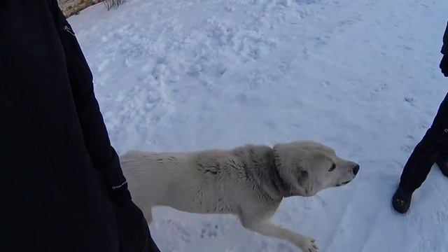 087_На ферме пополнение. Соня едет в столицу. смотреть онлайн