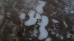 21.11.25.
Пустыня Сахара.