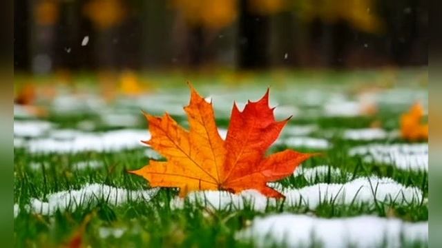 Последний жёлтый лист смотреть онлайн