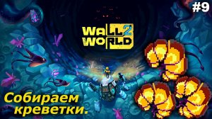Собираем креветки   |   Wall World 2   |   #9