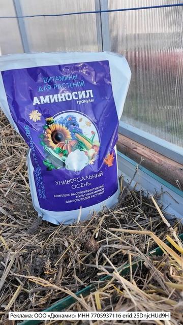 ЧТО ПОСЕЯТЬ В НОЯБРЕ НА ГРЯДКУ - ПОДЗИМНИЙ ПОСЕВ СЕМЯН смотреть онлайн