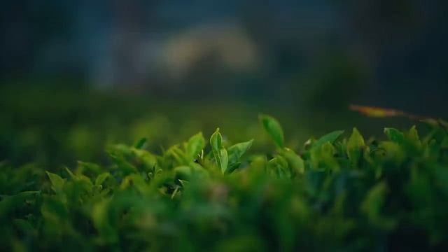 ✟ Зайди и помолись Творцу ✟ И пусть весь мир подождёт _ христианский сборник. смотреть онлайн