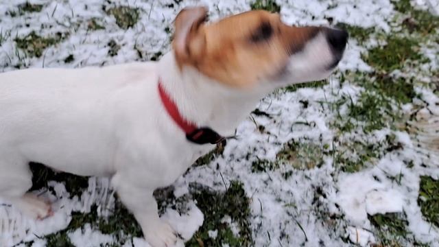 Счастье смотреть онлайн