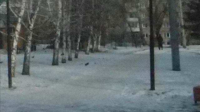 5.03.2019г - разгоню тоску смотреть онлайн