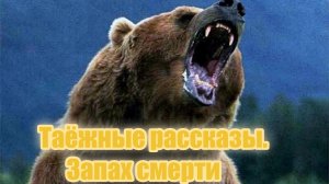 Таёжные рассказы. Запах смерти
