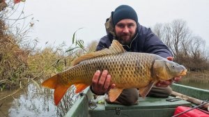 Рыбалка в Тумане! Судак и Щука Активны — А Сазан На Жмых в Ноябре (Астрахань)