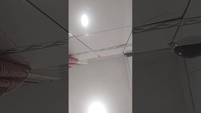 коля(кока Кола)