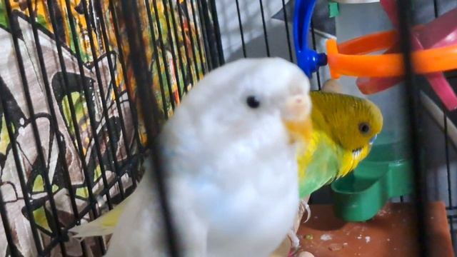 пугаем нечего по делать