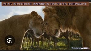 КОРОЛЬ ЛЕВ: ИСТОРИЯ МОЕГО ВЫДУМАННОГО ПЕРСОНАЖА ПО ИМЕНИ АЗЕР.(ИСТОРИЯ АЗЕРА.) ВОЗМОЖНО 18+