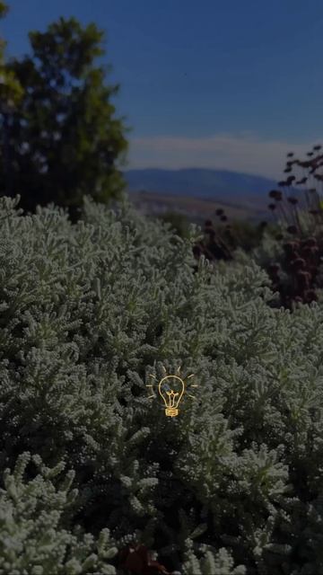 Видео от МОНС 4* COTTAGE