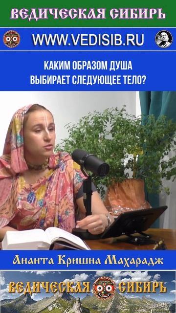 Как Душа выбирает следующее тело? смотреть онлайн