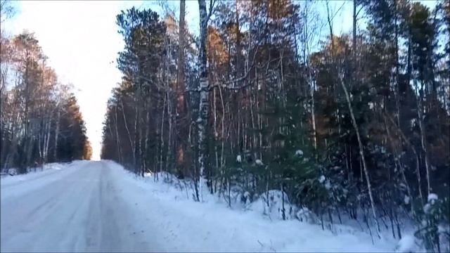 Поставил новыек покрышки на велик. Приютил бродячего кота но котяра меня покусал.