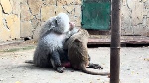 Люська УКЛАДЫВАЕТ ЕЛИСЕЯ СПАТЬ, настолько смешно просто ОБХОХОЧЕШЬСЯ!