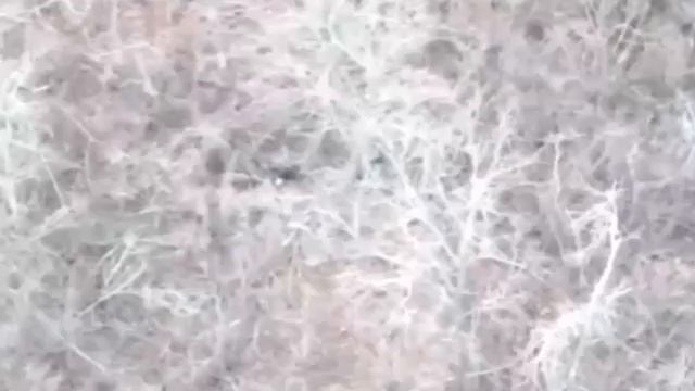 ‼️🇷🇺Северск🇷🇺Наши штурмовые роты уже в центре города. Логистика ВСУчек к городу обрезана😎🤙🇷🇺 смотреть онлайн