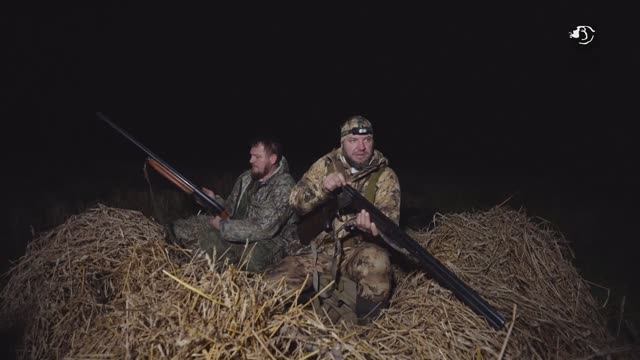 Охота на пернатых и кабана в Новгородской области. Охота по правилам (42) смотреть онлайн