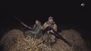 Охота на пернатых и кабана в Новгородской области. Охота по правилам (42)