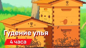 Звуки для соседей - гудение улья