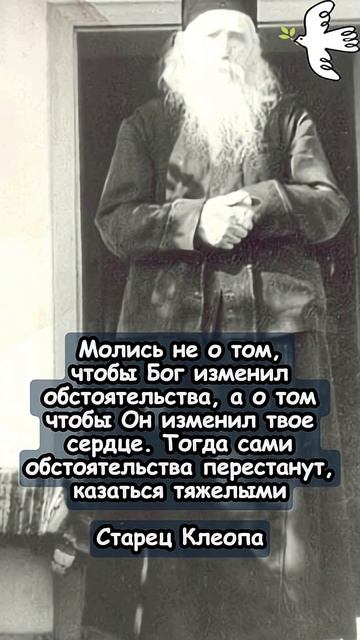 ПРАВИЛЬНАЯ МОЛИТВА Старец Клеопа #молитва #мистика #православныйцарь