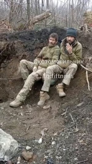 норные хряки решили сдаться после двух месяцев оприходования друг друга