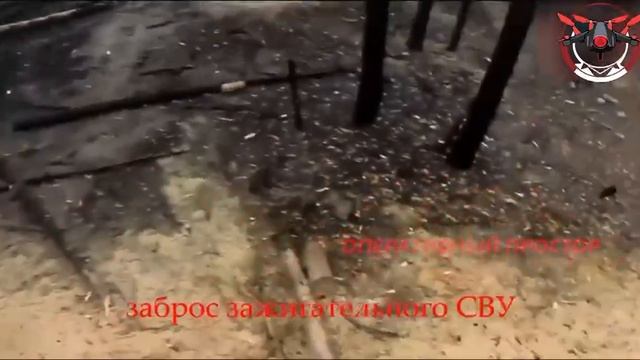 ‼️🇷🇺16 бригада СпН ВС РФ (Тамбов) • Контакт! Под Ямполем НАШИ Слоняры зачищают лес😎🤙🇷🇺 смотреть онлайн