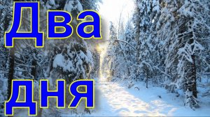 Два дня по путику взвожу капканы ударили морозы -20 -25 появились кабаны снял трёх соболей
