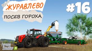 Farming Simulator 25 Журавлёво - МТЗ 3522 и STARA CUAPA #16
