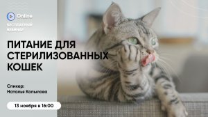 Бесплатный вебинар «Питание для стерилизованных кошек: все, что нужно знать»
