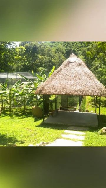 Природа смотреть онлайн